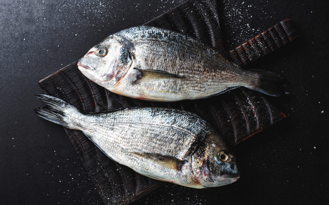Fisch Lanz – Doradenfilet mit Fenchel